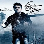 دانلود آهنگ میثم ابراهیمی شکوه جاودان - 